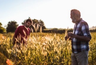 Two men standing in a wheat field